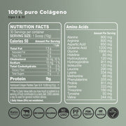 Collagen P18